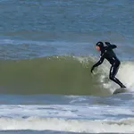 Surfers Paradise Tiny House * Noordwijk