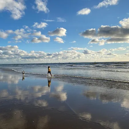 Surfers Paradise Tiny House Apartment Noordwijk