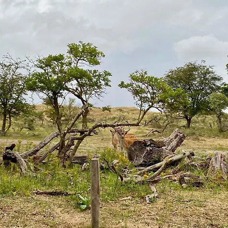 Surfers Paradise Tiny House