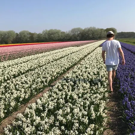 아파트 Surfers Paradise Tiny House *