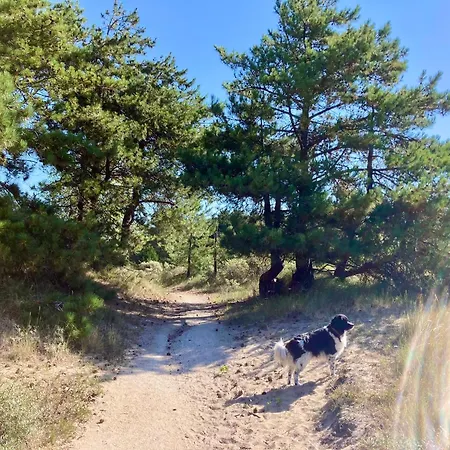 Surfers Paradise Tiny House *