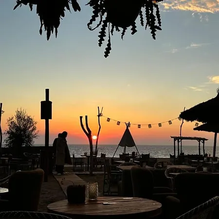 Surfers Paradise Tiny House *