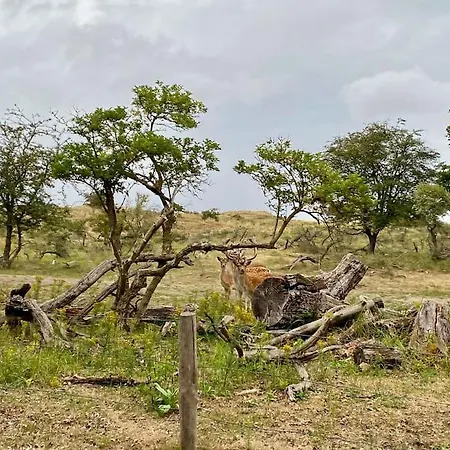 Apartamento Surfers Paradise Tiny House Noordwijk