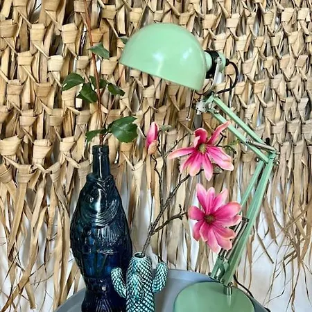 Surfers Paradise Tiny House