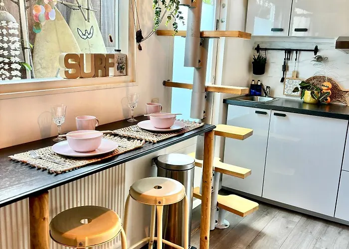 Surfers Paradise Tiny House * Noordwijk