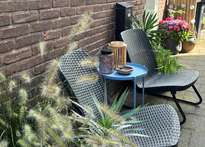 Surfers Paradise Tiny House Appartamento Noordwijk