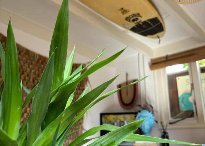 Surfers Paradise Tiny House * 노르트베이크