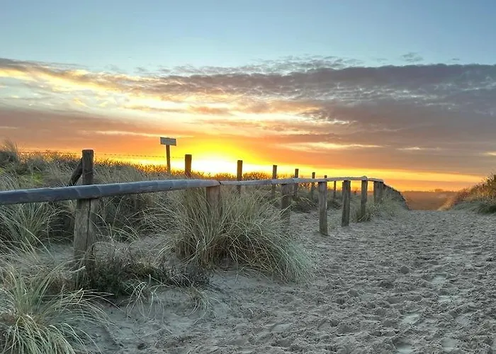 Surfers Paradise Tiny House * Noordwijk