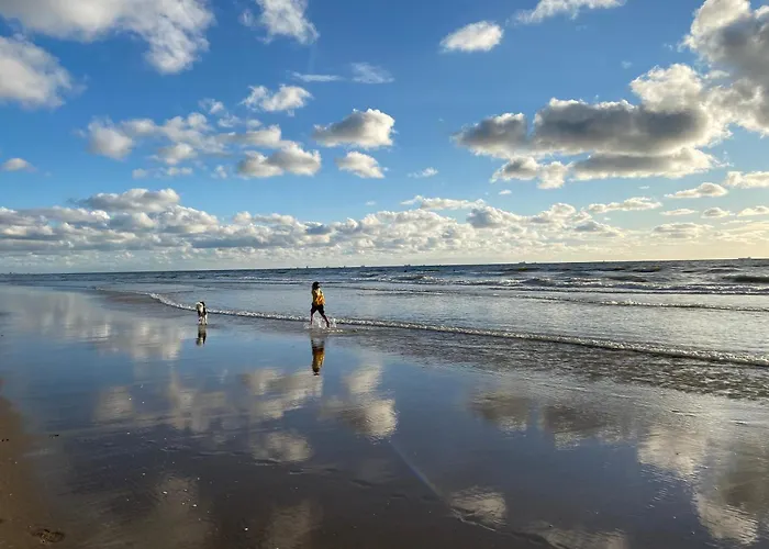 Surfers Paradise Tiny House Appartamento Noordwijk