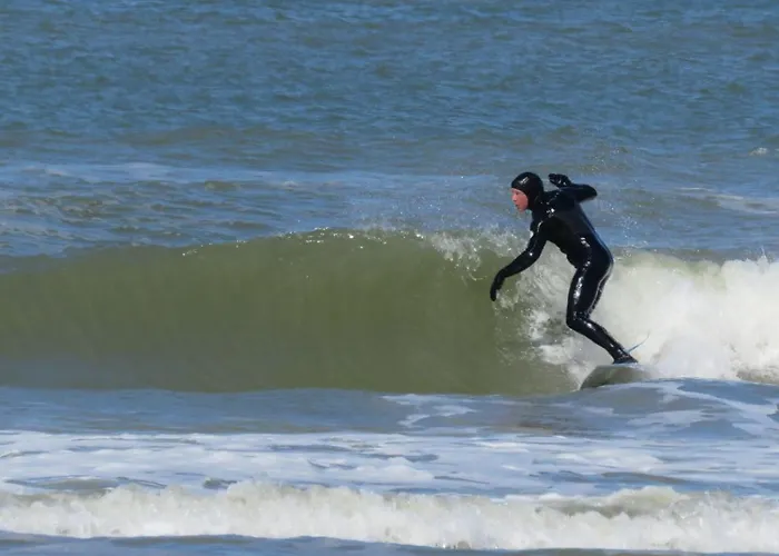 Appartamento Surfers Paradise Tiny House Noordwijk