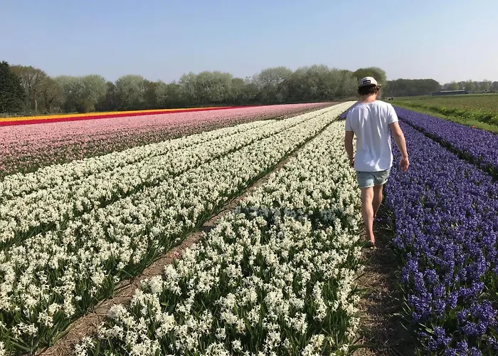 Апартаменты Surfers Paradise Tiny House *