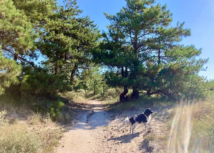 Surfers Paradise Tiny House *