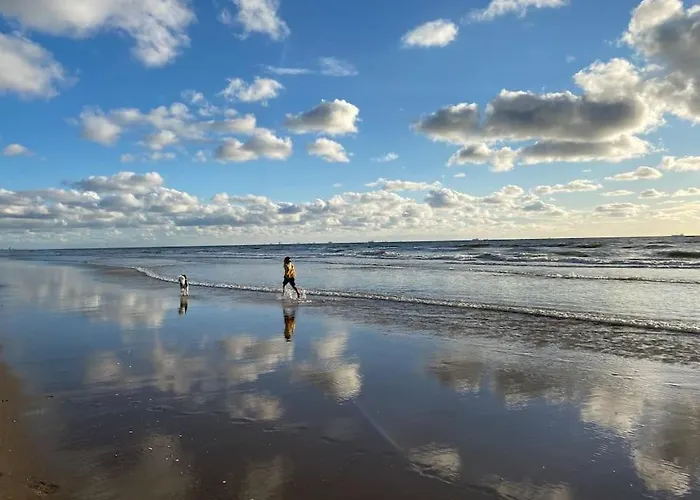 Surfers Paradise Tiny House 아파트