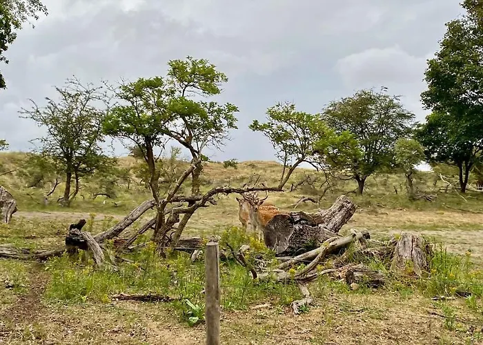 아파트 Surfers Paradise Tiny House 노르트베이크