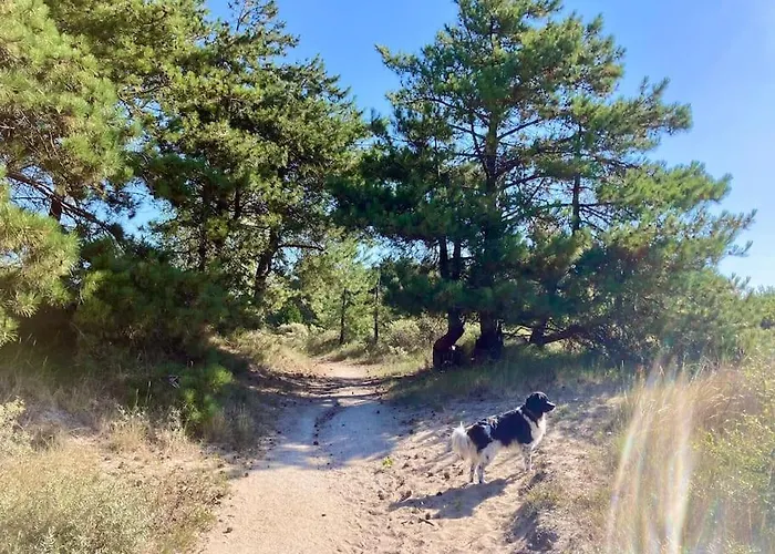 Surfers Paradise Tiny House *