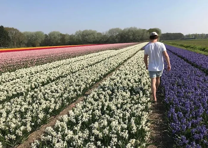 Surfers Paradise Tiny House Нордвейк-ан-Зее