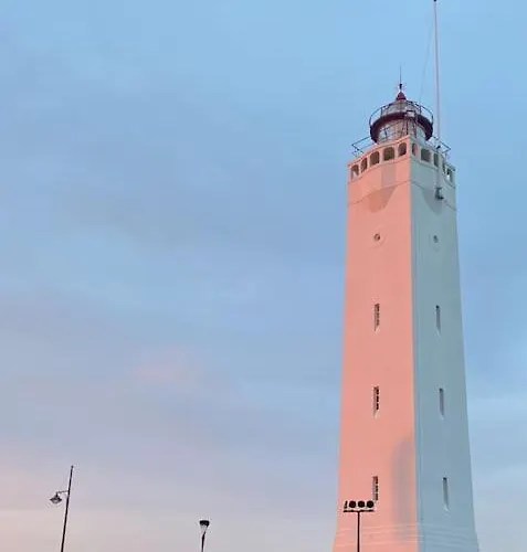 Surfers Paradise Tiny House 아파트