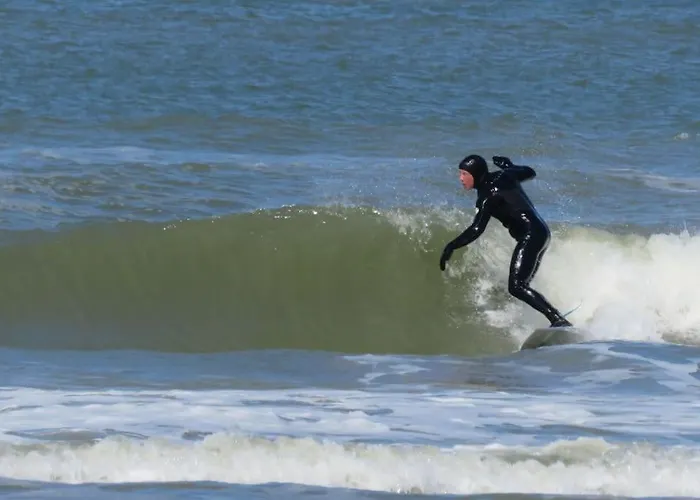 Surfers Paradise Tiny House * Noordwijk