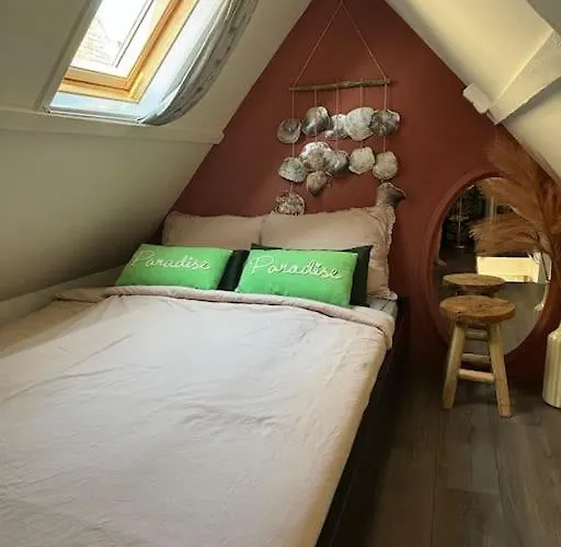 Surfers Paradise Tiny House * Noordwijk