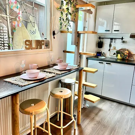 Surfers Paradise Tiny House * Noordwijk