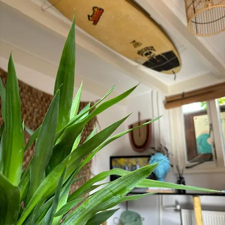 Surfers Paradise Tiny House * Noordwijk