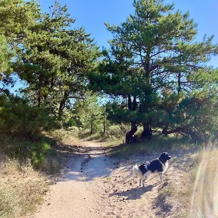 Surfers Paradise Tiny House *