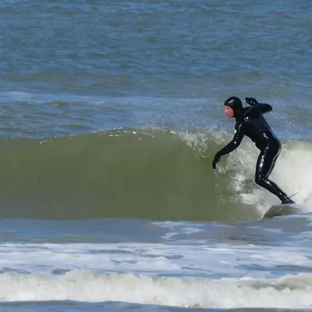 Surfers Paradise Tiny House * Noordwijk